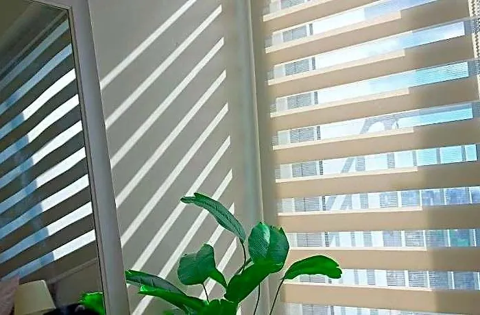 Hotel Smdc Grass Residences By Hjm Manila